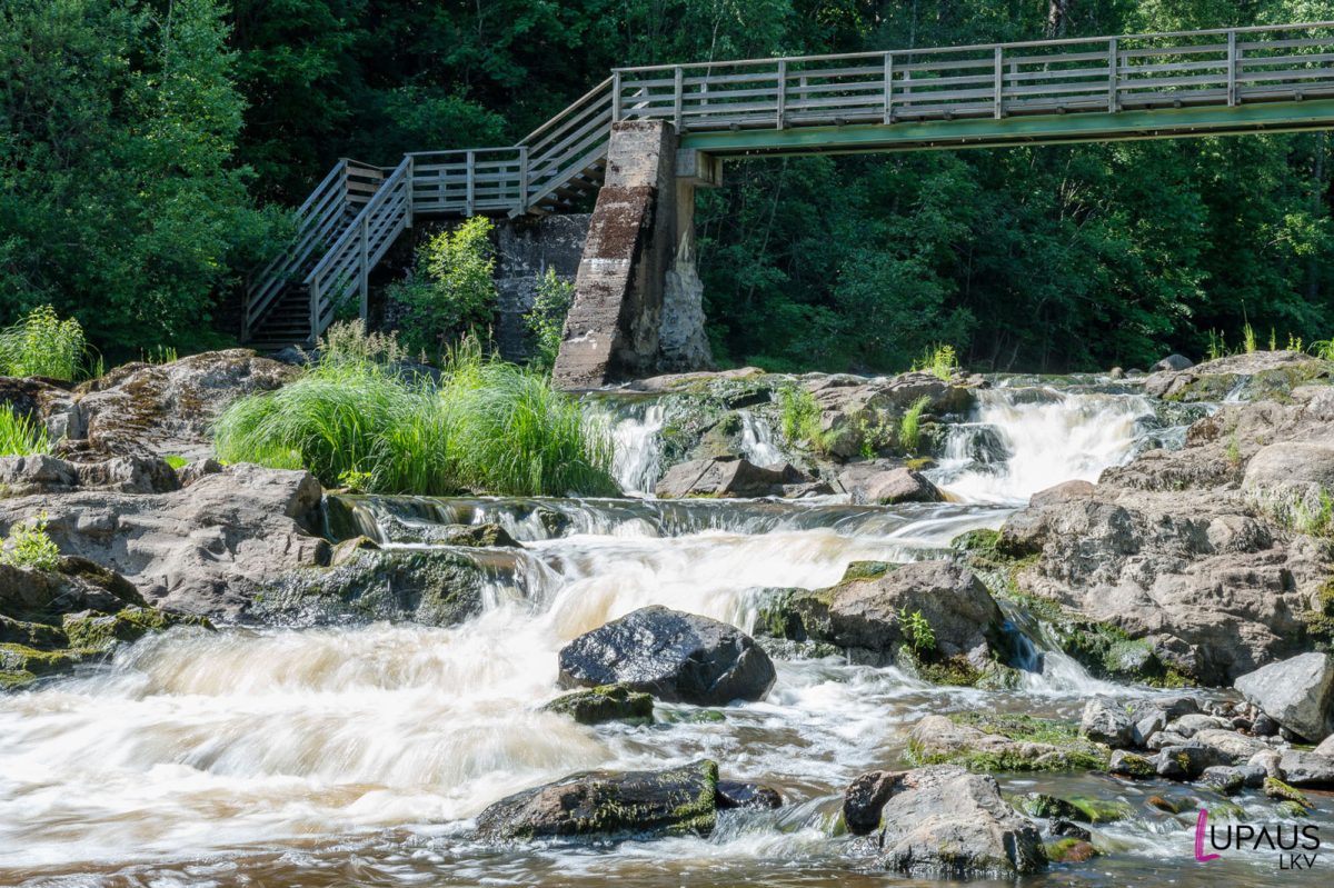 myllymaantila_layoutit-1